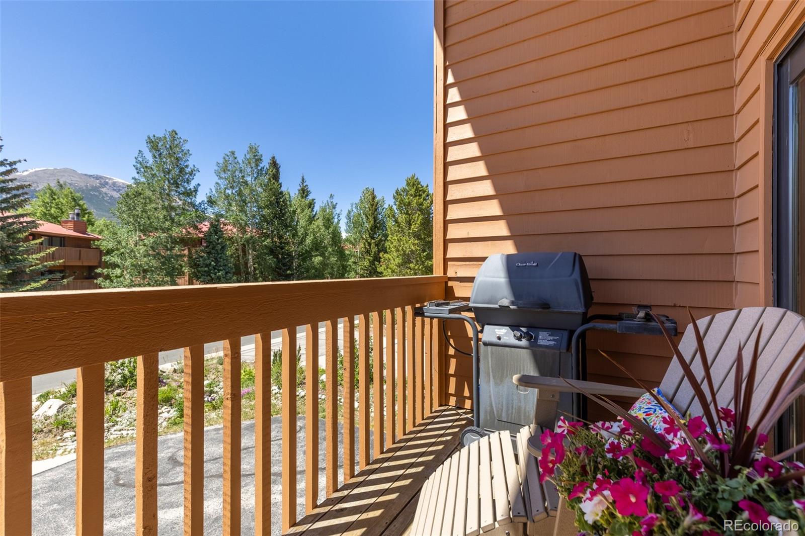 MLS Image #26 for 731  lagoon drive,frisco, Colorado