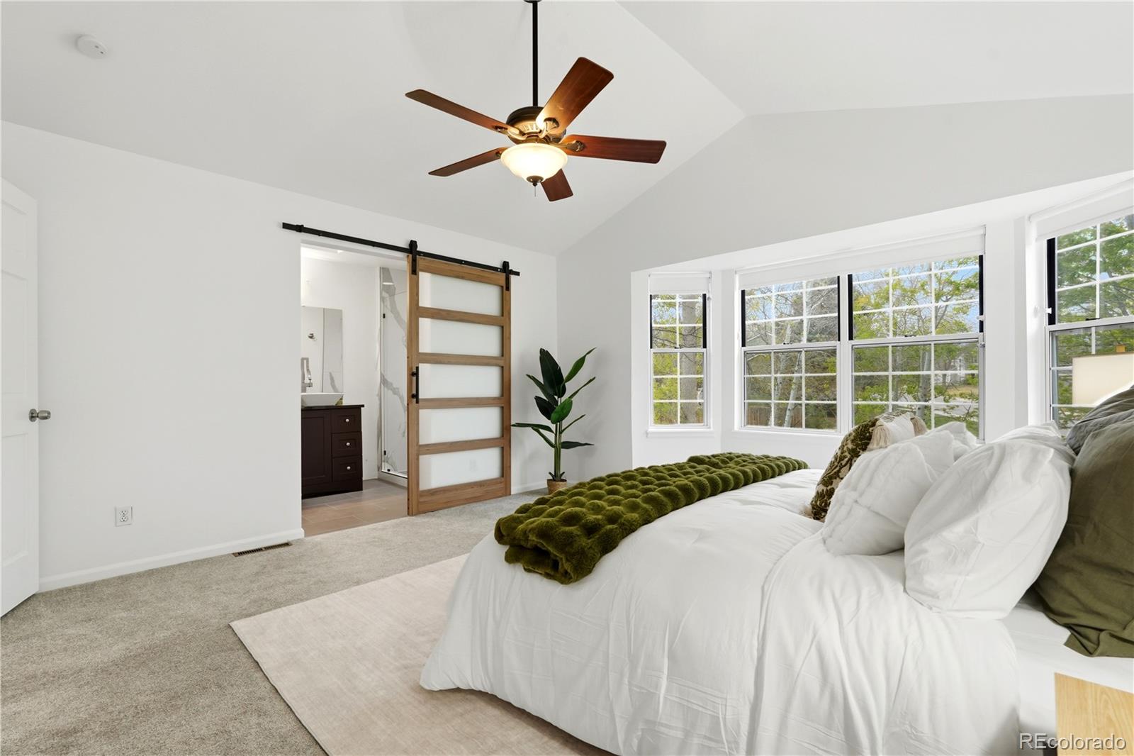MLS Image #22 for 7981 s vine court,centennial, Colorado