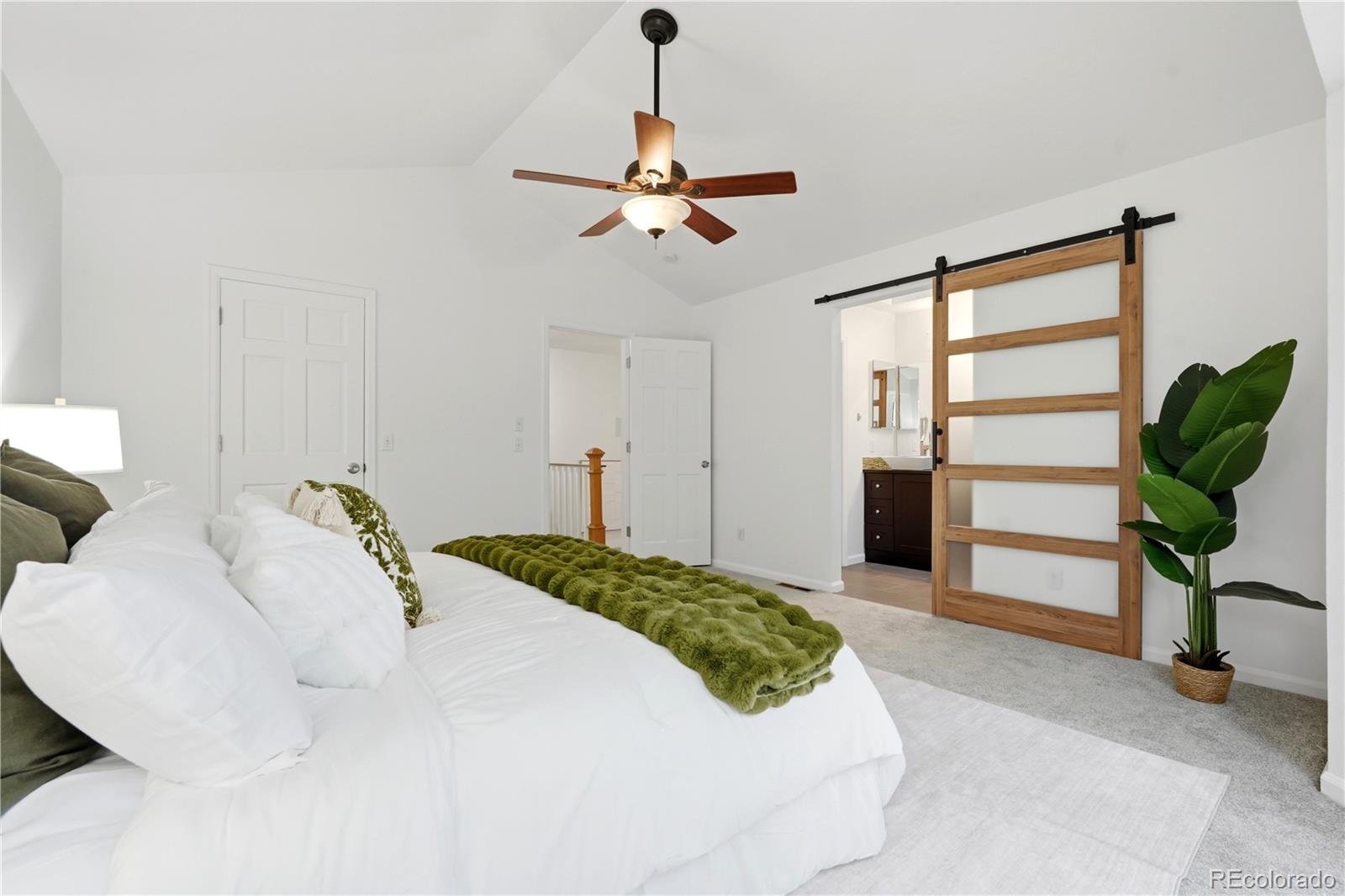 MLS Image #23 for 7981 s vine court,centennial, Colorado