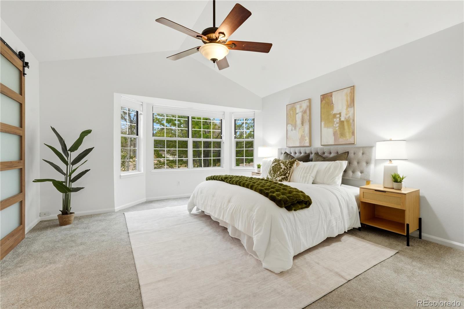 MLS Image #24 for 7981 s vine court,centennial, Colorado