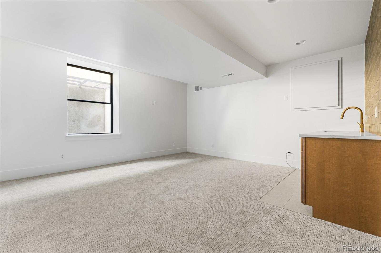 MLS Image #42 for 1068 s corona street,denver, Colorado