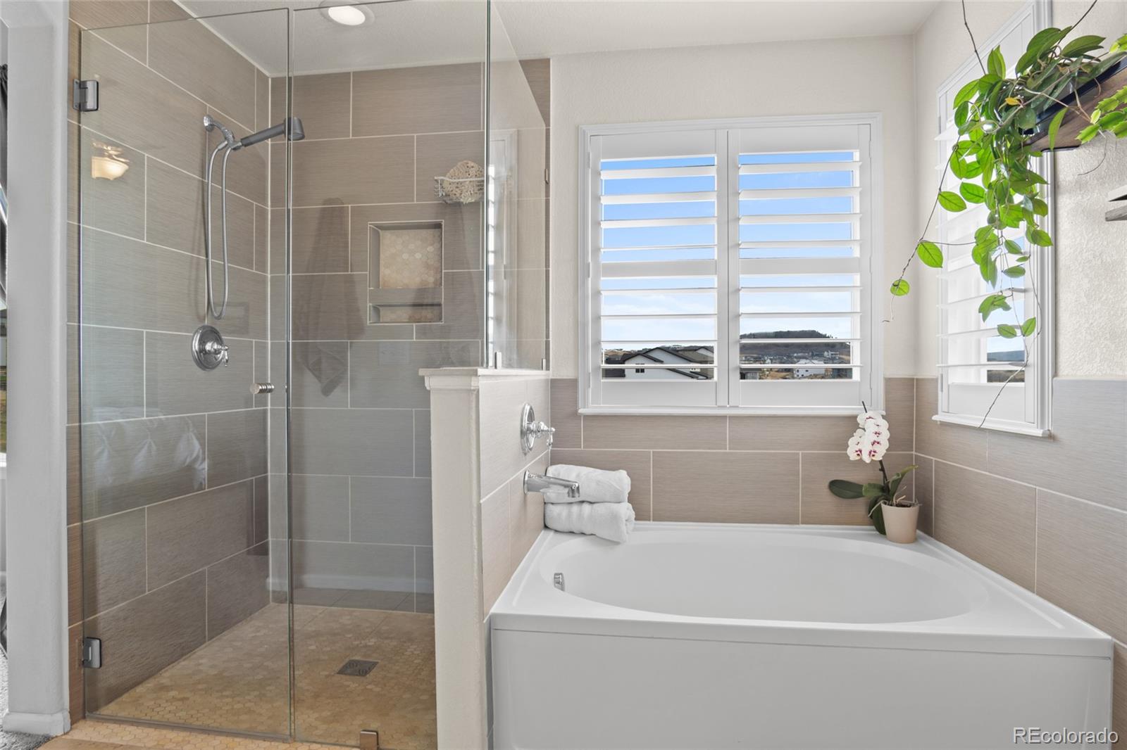 MLS Image #25 for 1026  eaglestone drive,castle rock, Colorado