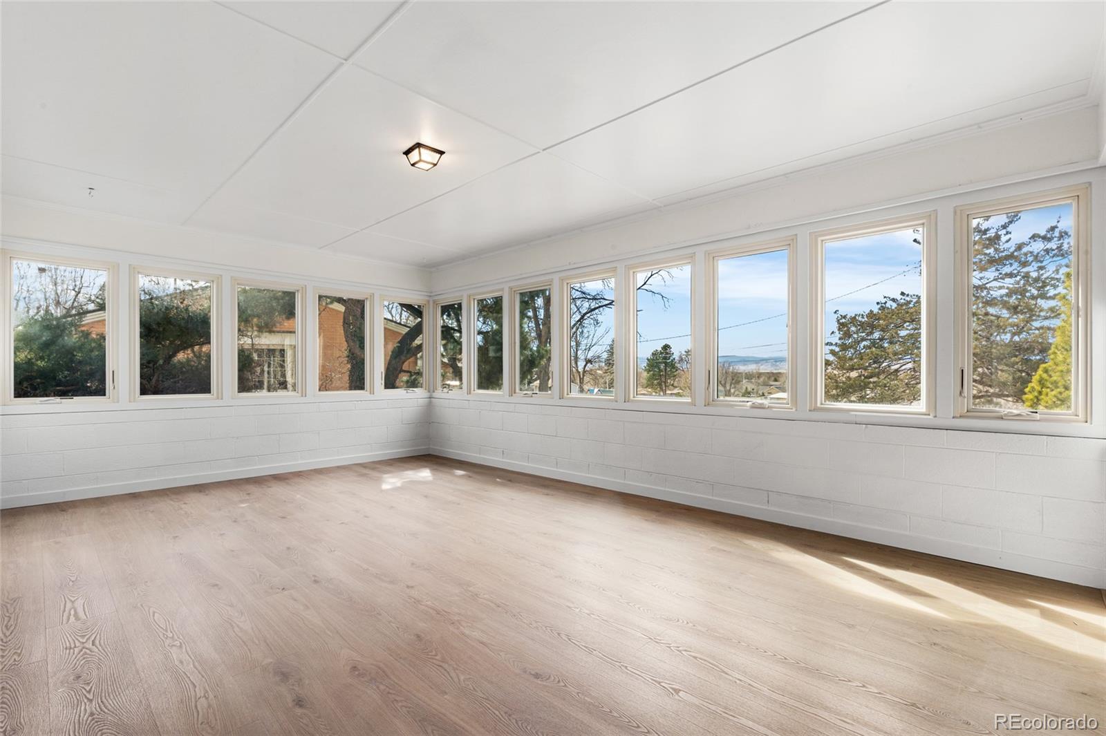 MLS Image #16 for 835  hillside court,longmont, Colorado