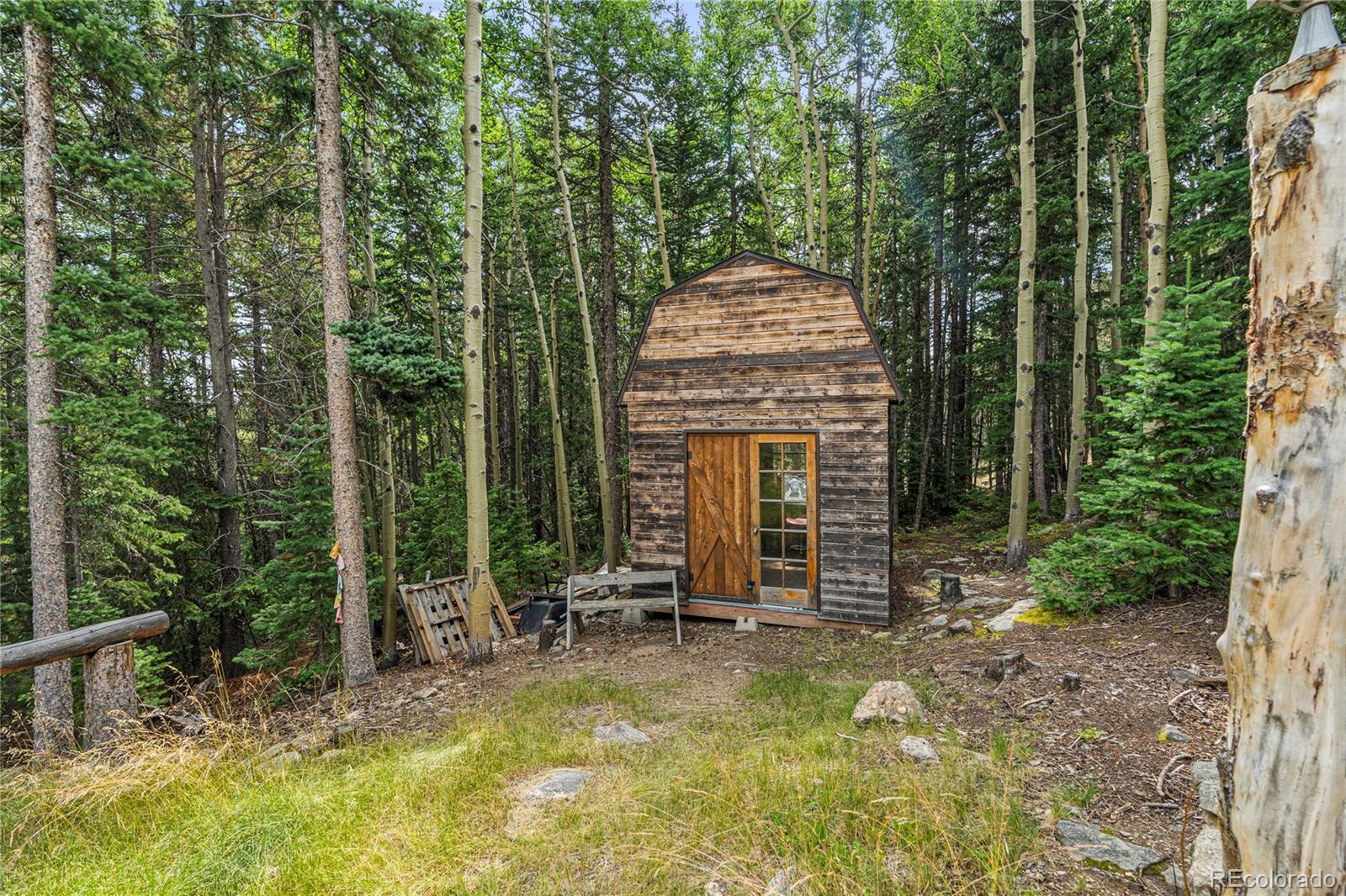 MLS Image #14 for 388  saw mill lane,idaho springs, Colorado
