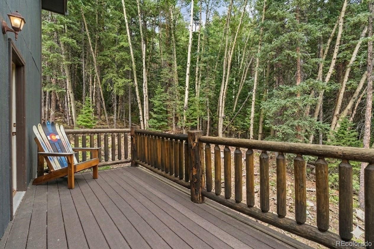 MLS Image #18 for 388  saw mill lane,idaho springs, Colorado