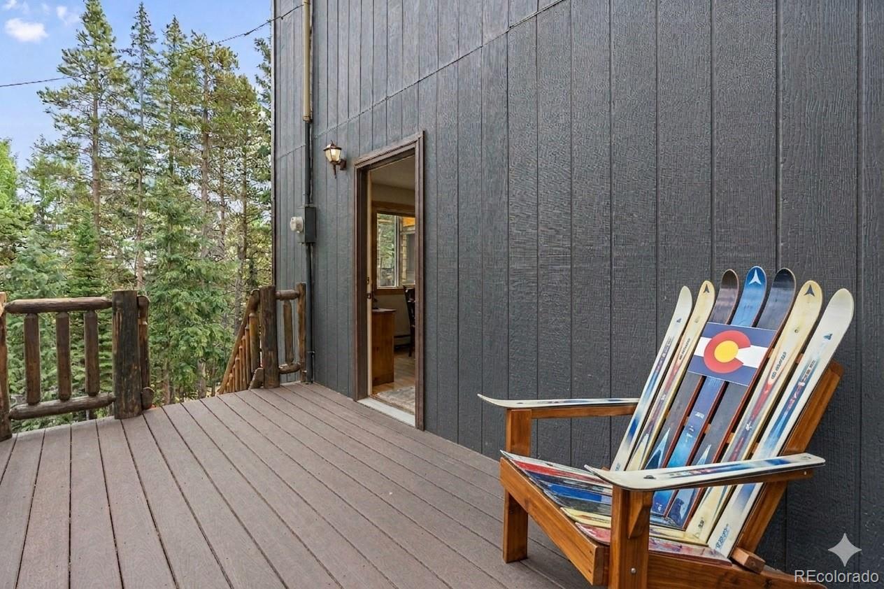MLS Image #19 for 388  saw mill lane,idaho springs, Colorado
