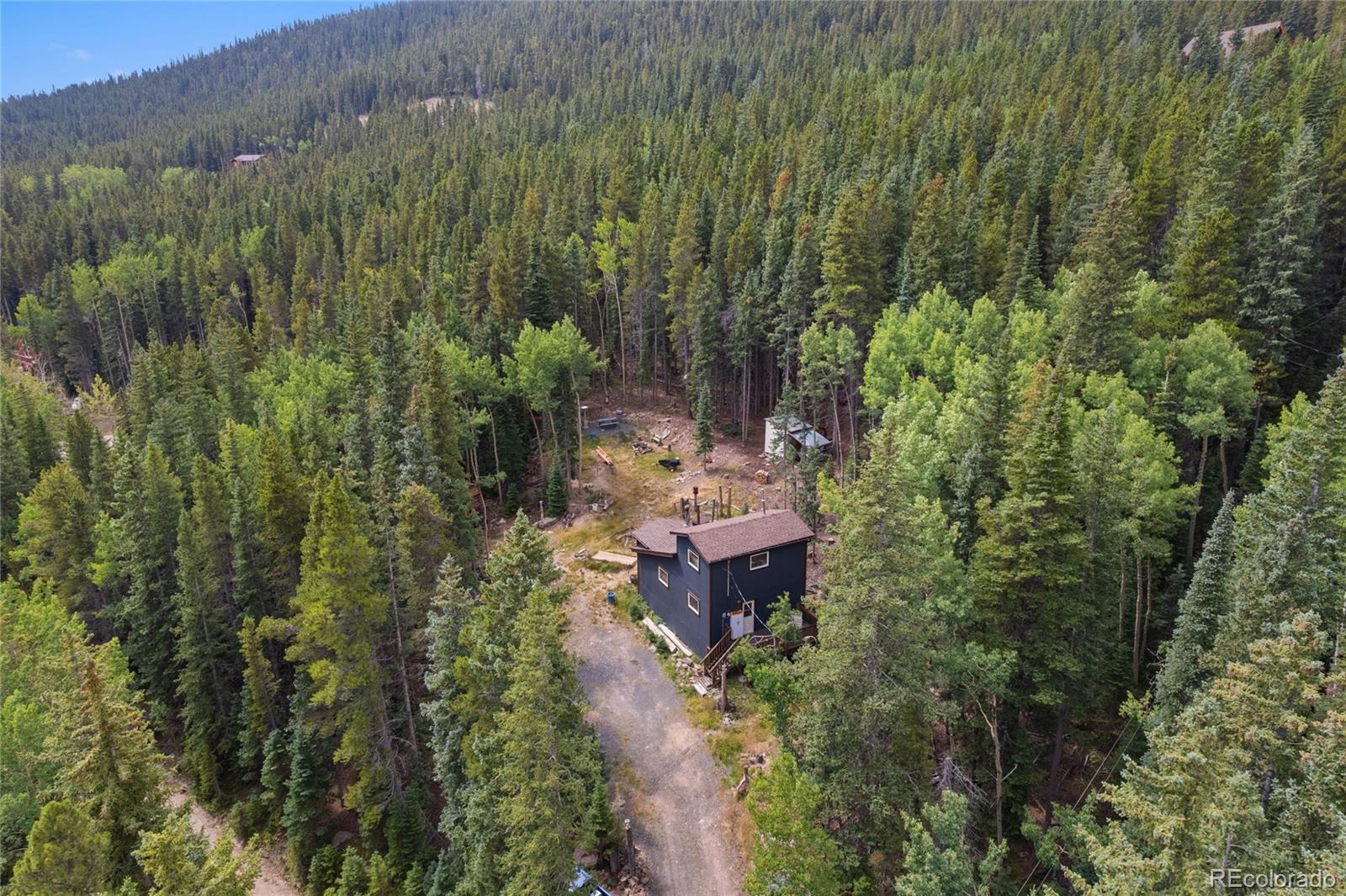 MLS Image #21 for 388  saw mill lane,idaho springs, Colorado