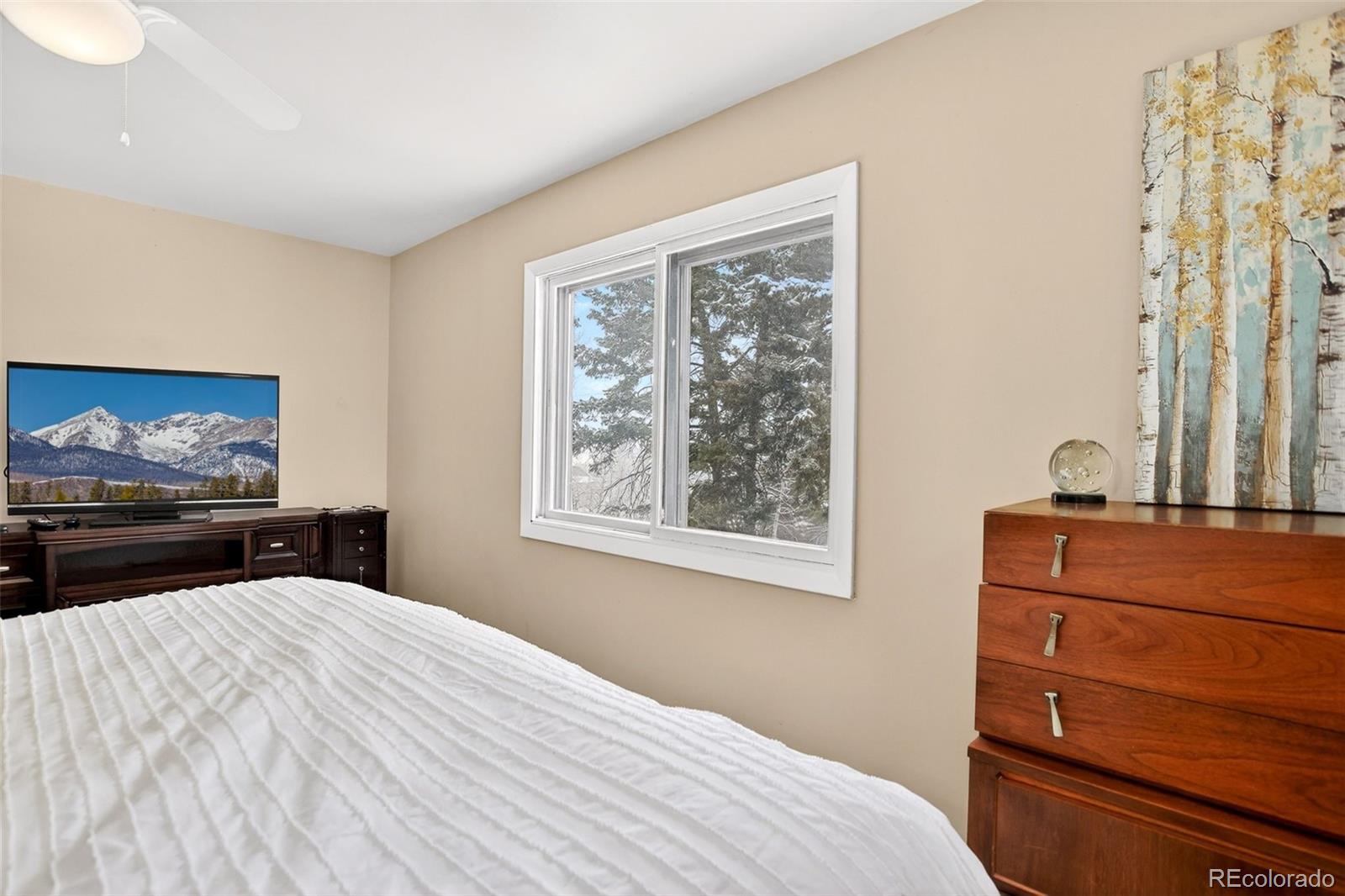 MLS Image #11 for 25807  snyder avenue,conifer, Colorado