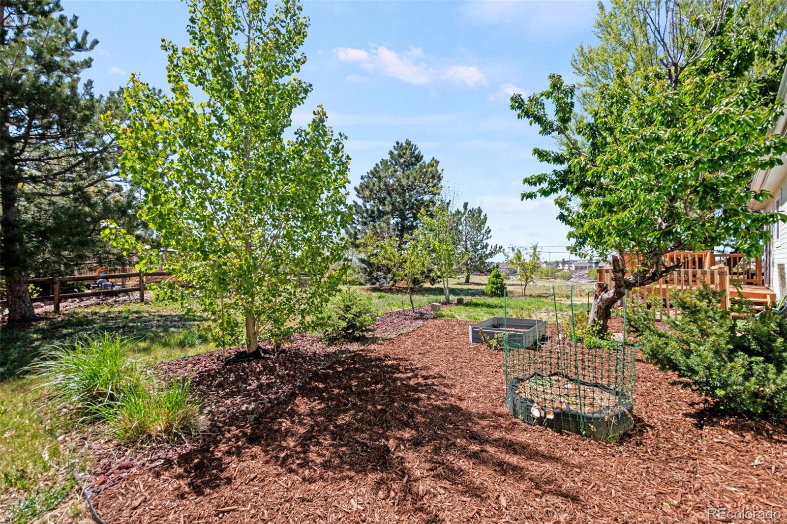 MLS Image #27 for 7641  marmot point,colorado springs, Colorado
