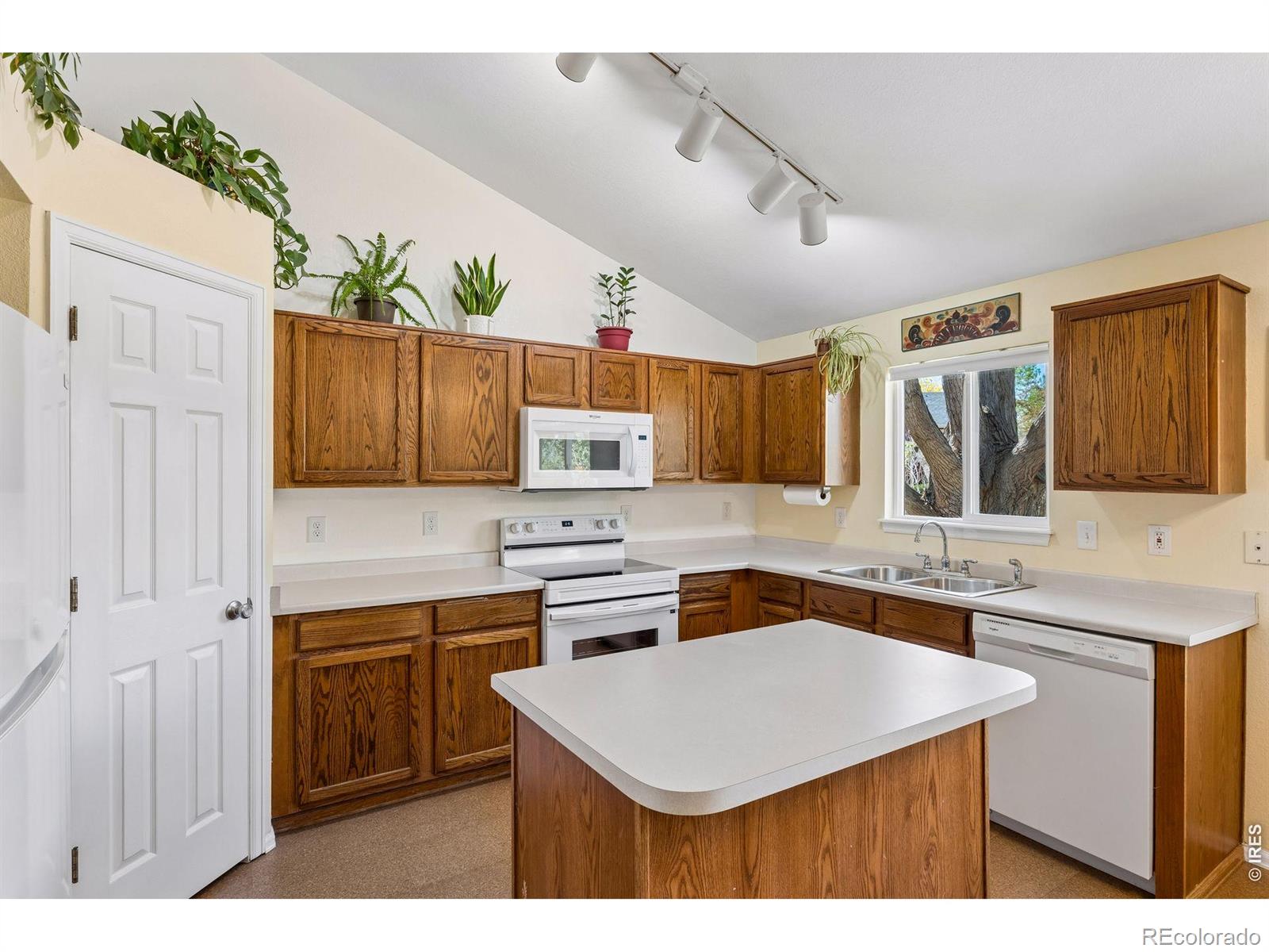 MLS Image #12 for 1421  sorrel court,longmont, Colorado