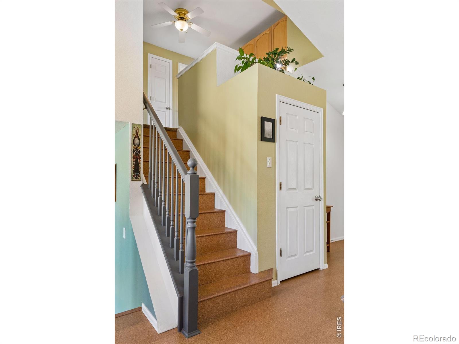 MLS Image #19 for 1421  sorrel court,longmont, Colorado