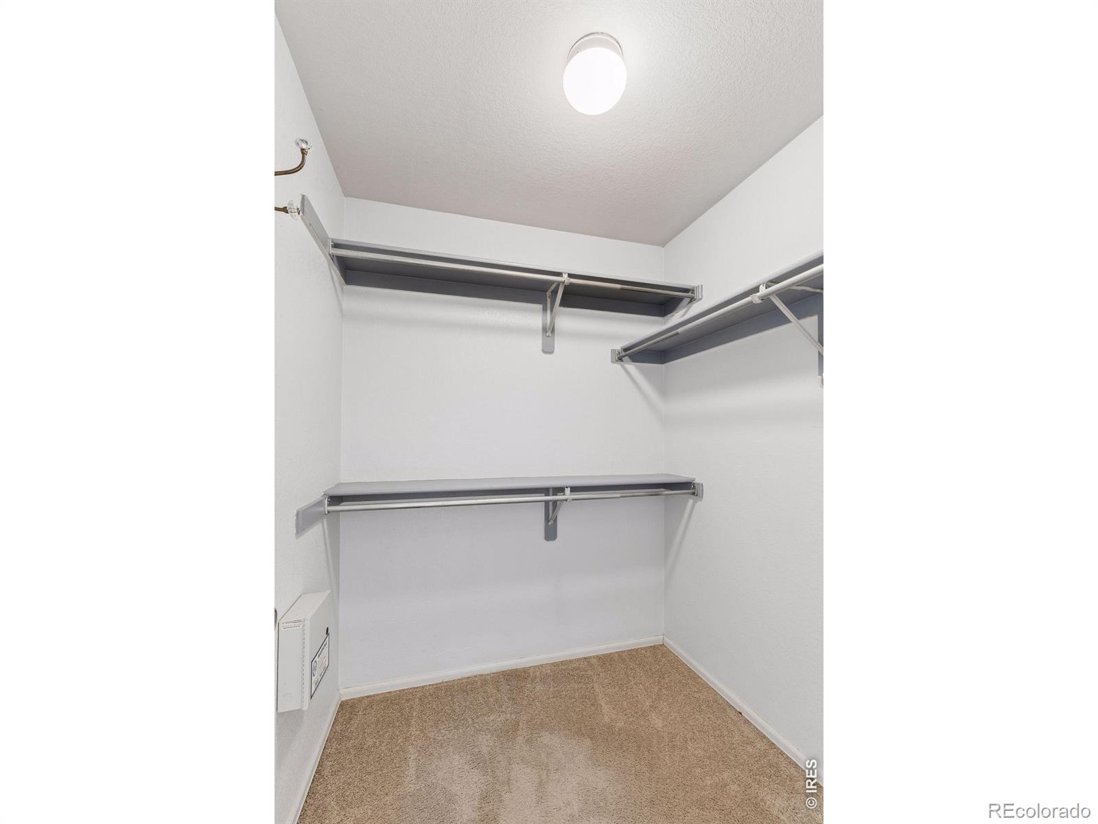 MLS Image #24 for 1421  sorrel court,longmont, Colorado