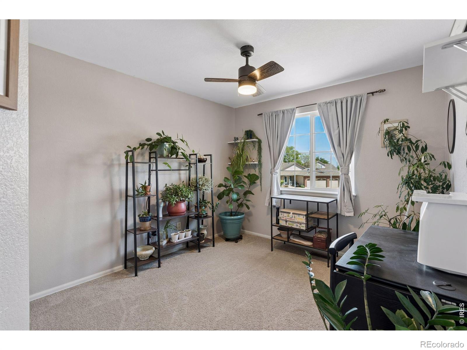 MLS Image #25 for 1421  sorrel court,longmont, Colorado