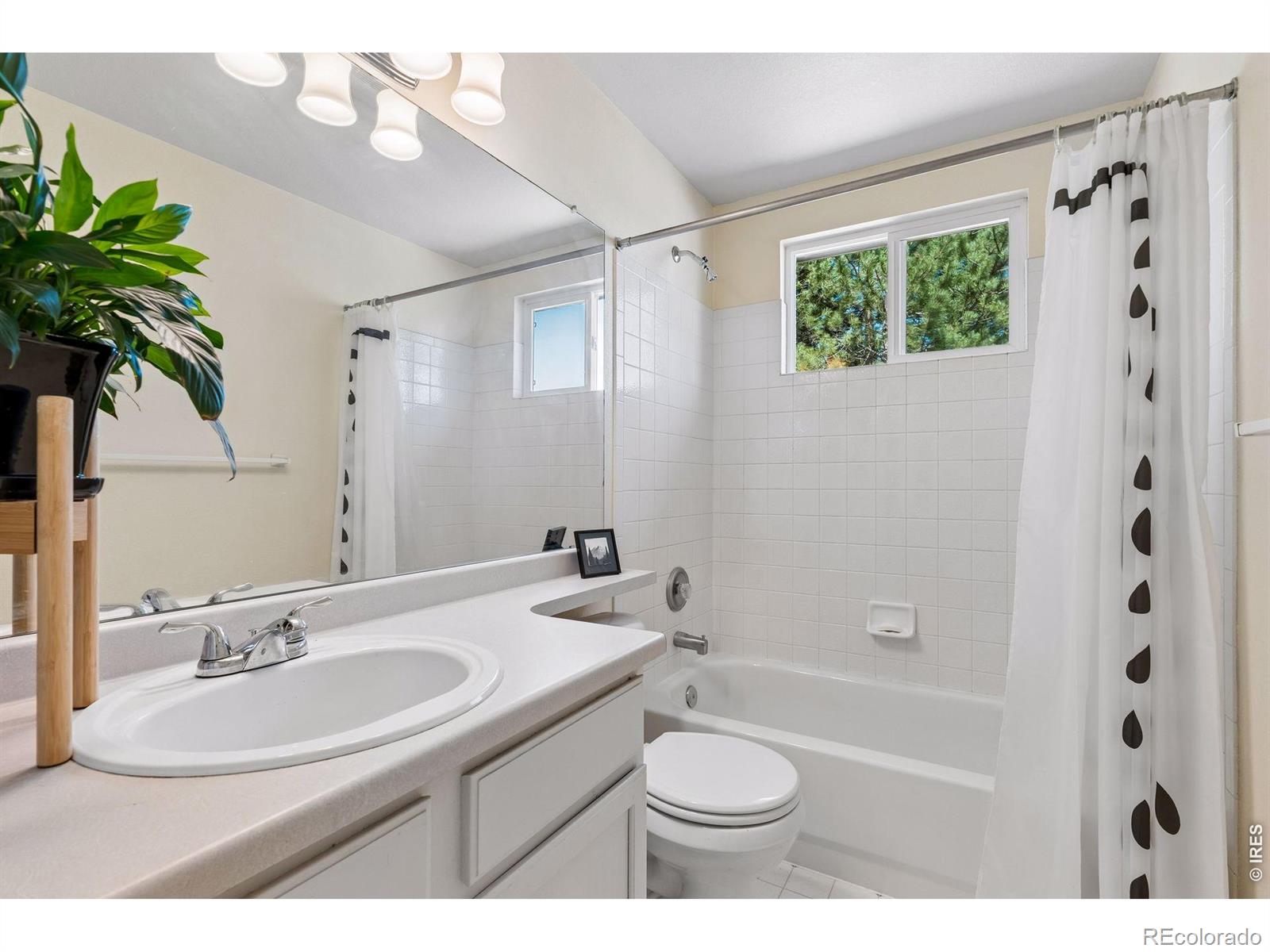 MLS Image #27 for 1421  sorrel court,longmont, Colorado