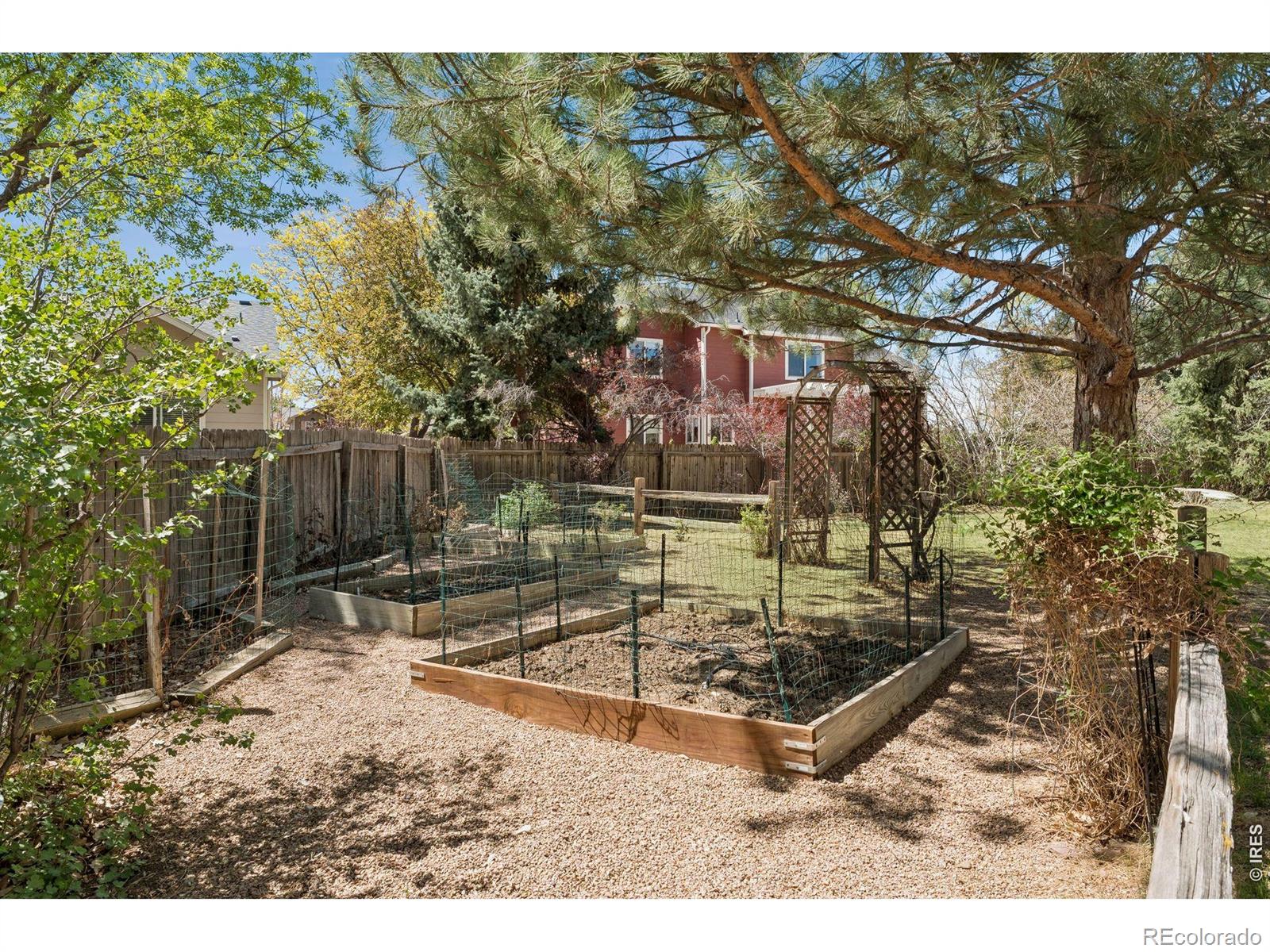 MLS Image #36 for 1421  sorrel court,longmont, Colorado