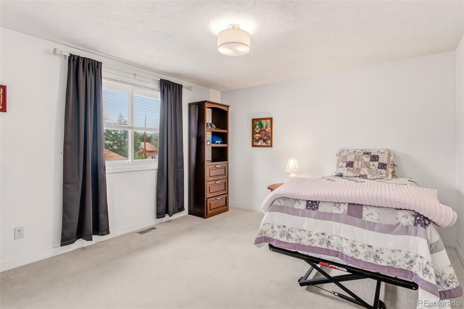 MLS Image #16 for 1217  michael lane,woodland park, Colorado