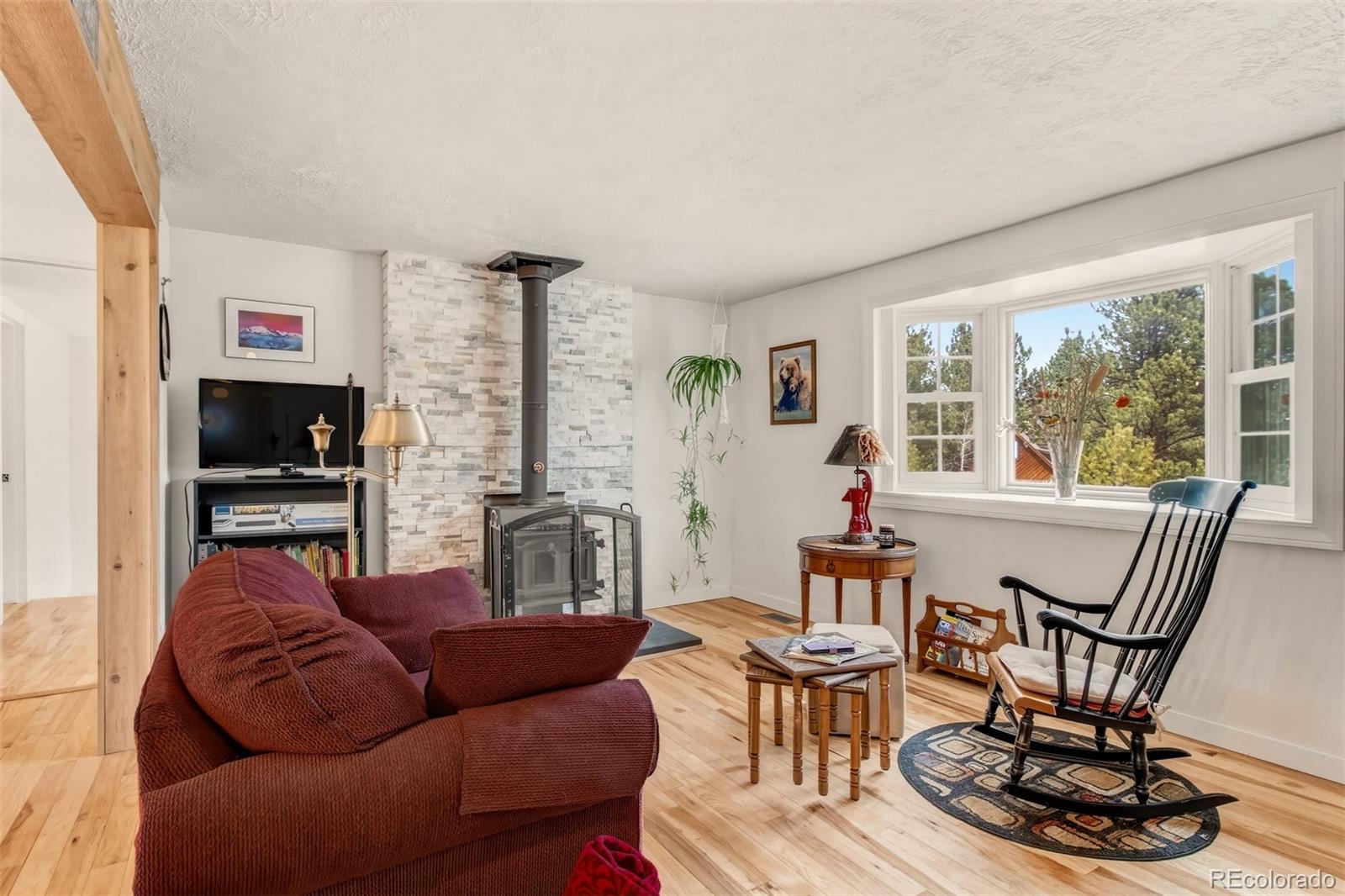 MLS Image #3 for 1217  michael lane,woodland park, Colorado