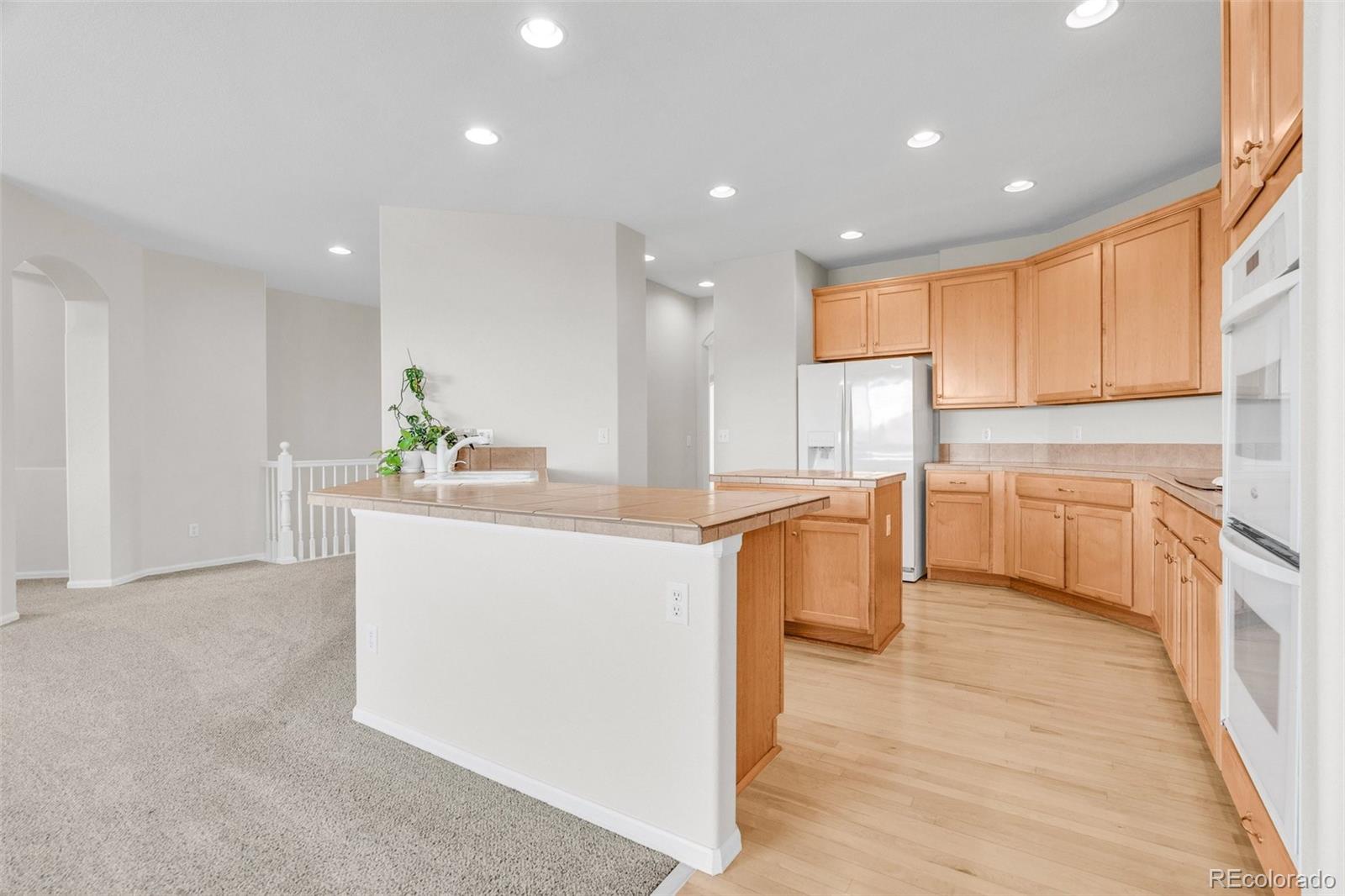 MLS Image #12 for 16245 e swift fox place,parker, Colorado