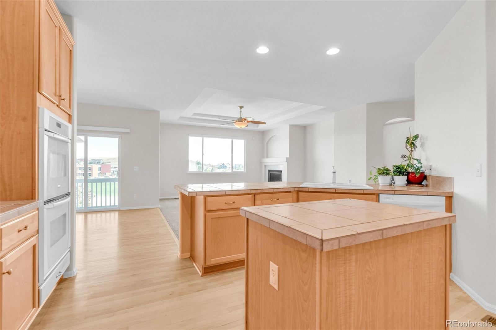 MLS Image #14 for 16245 e swift fox place,parker, Colorado