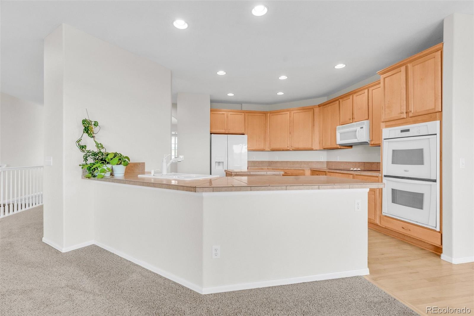 MLS Image #5 for 16245 e swift fox place,parker, Colorado