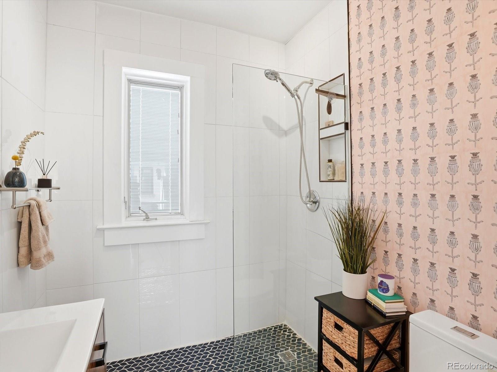 MLS Image #27 for 1007 s vine street,denver, Colorado