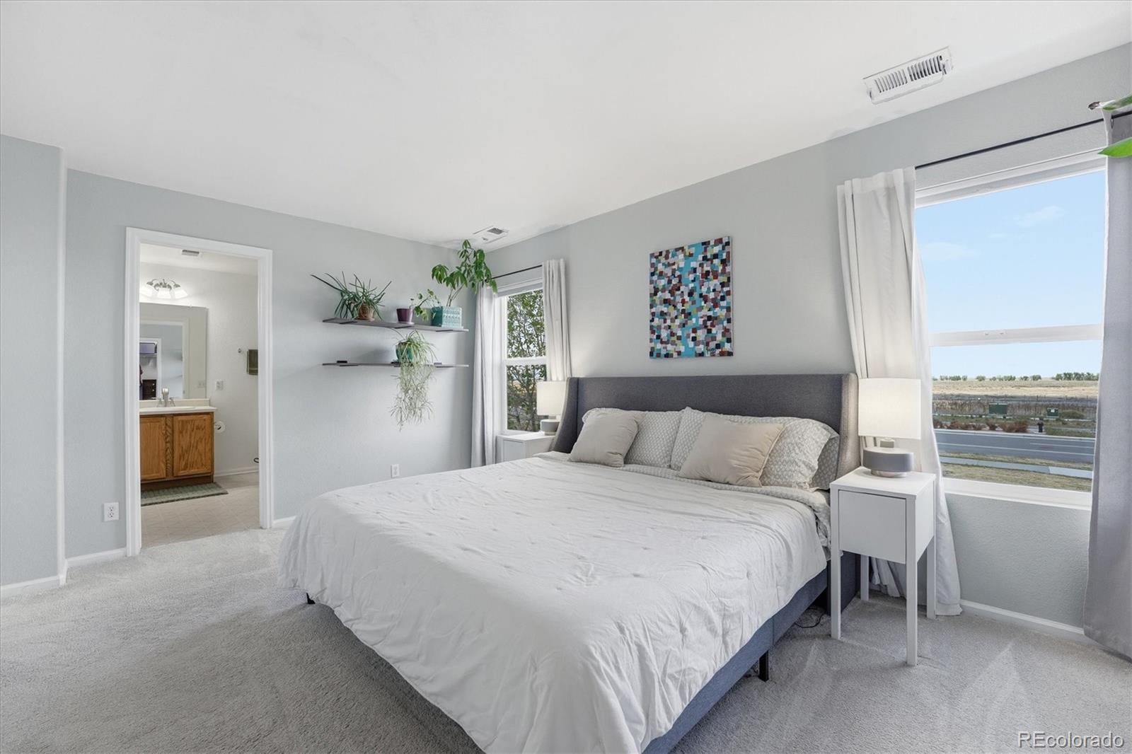 MLS Image #29 for 16097  randolph place,denver, Colorado