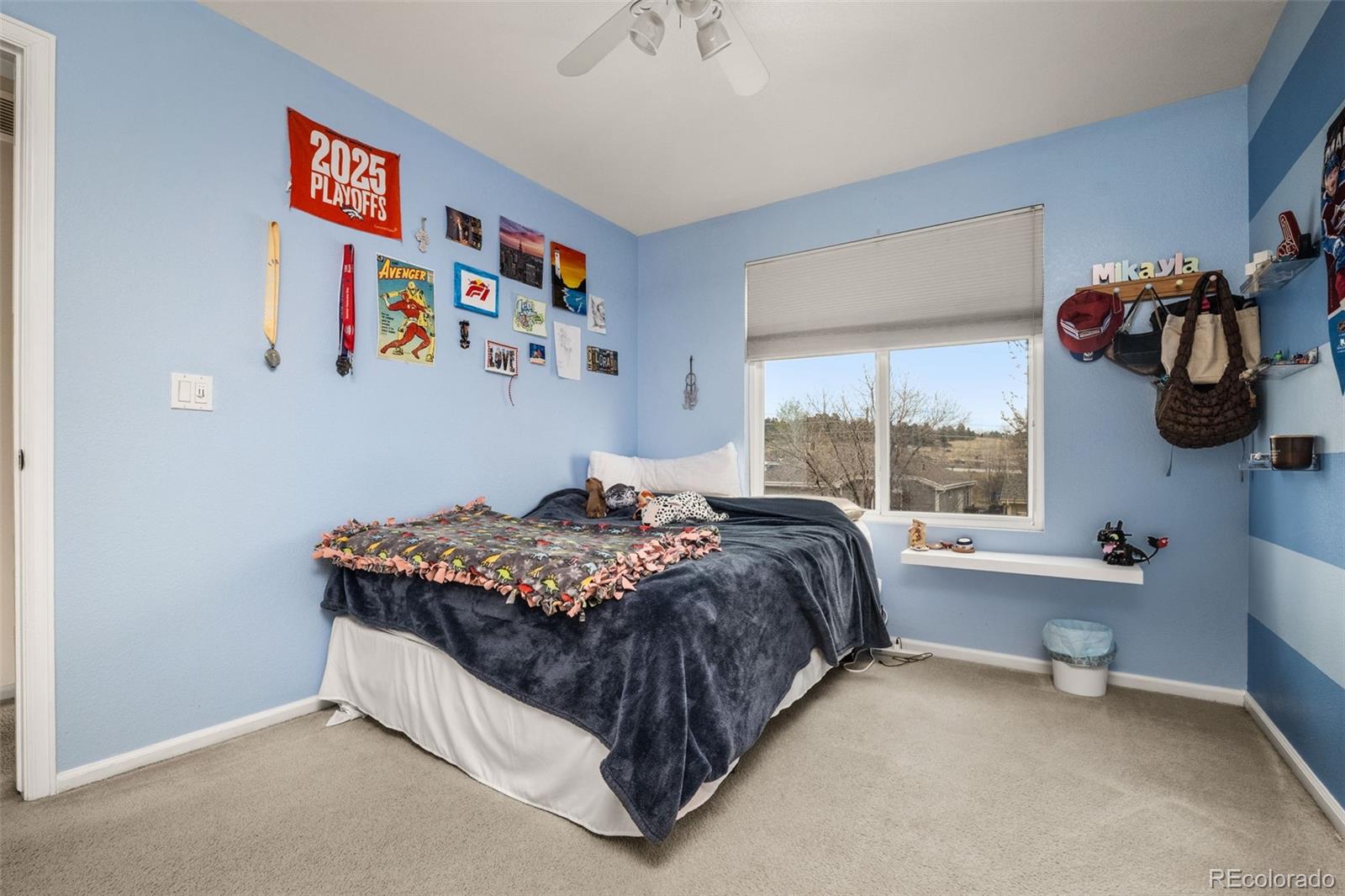 MLS Image #31 for 6691  fonder drive,parker, Colorado