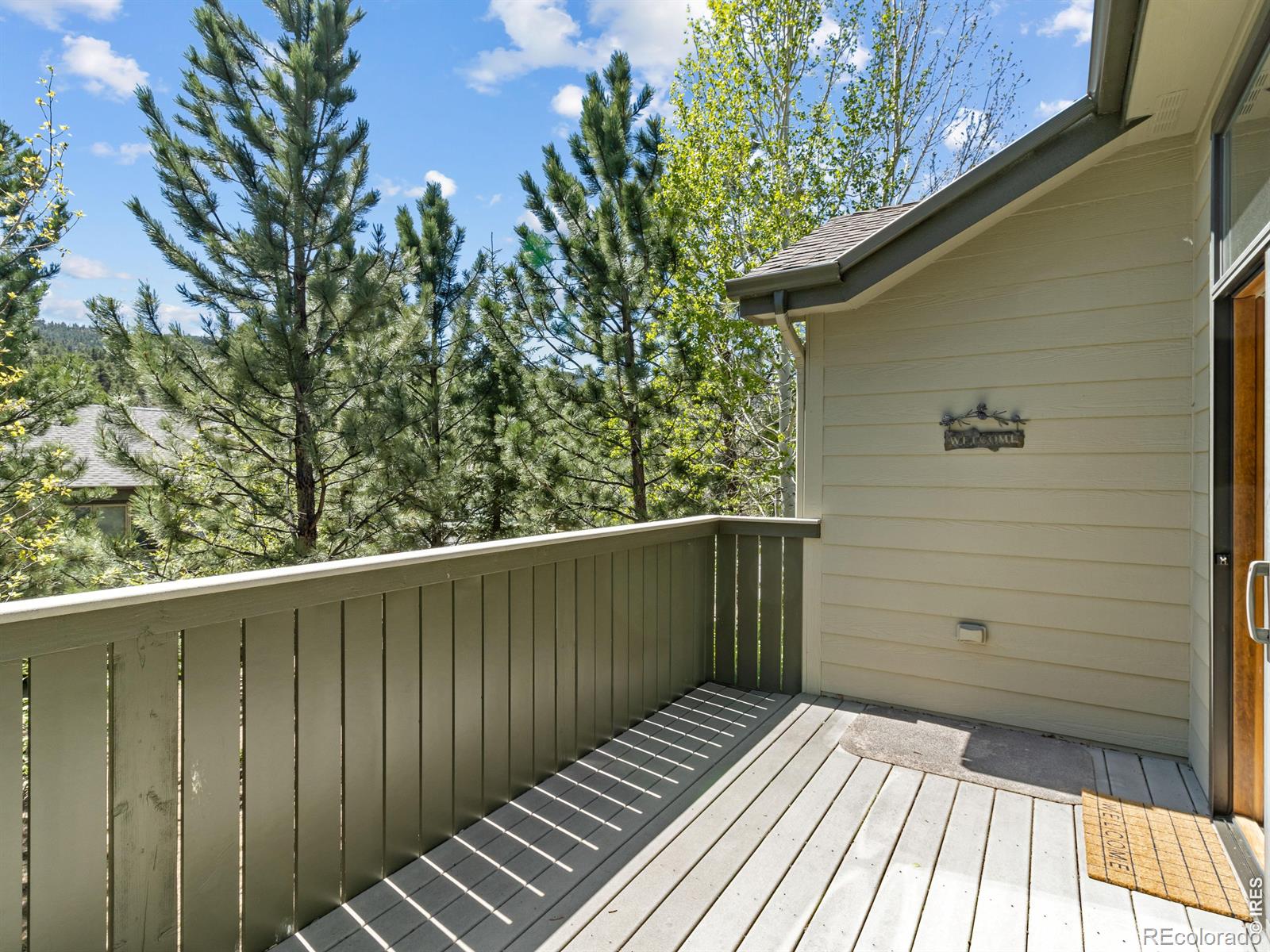 MLS Image #13 for 624  park river place,estes park, Colorado