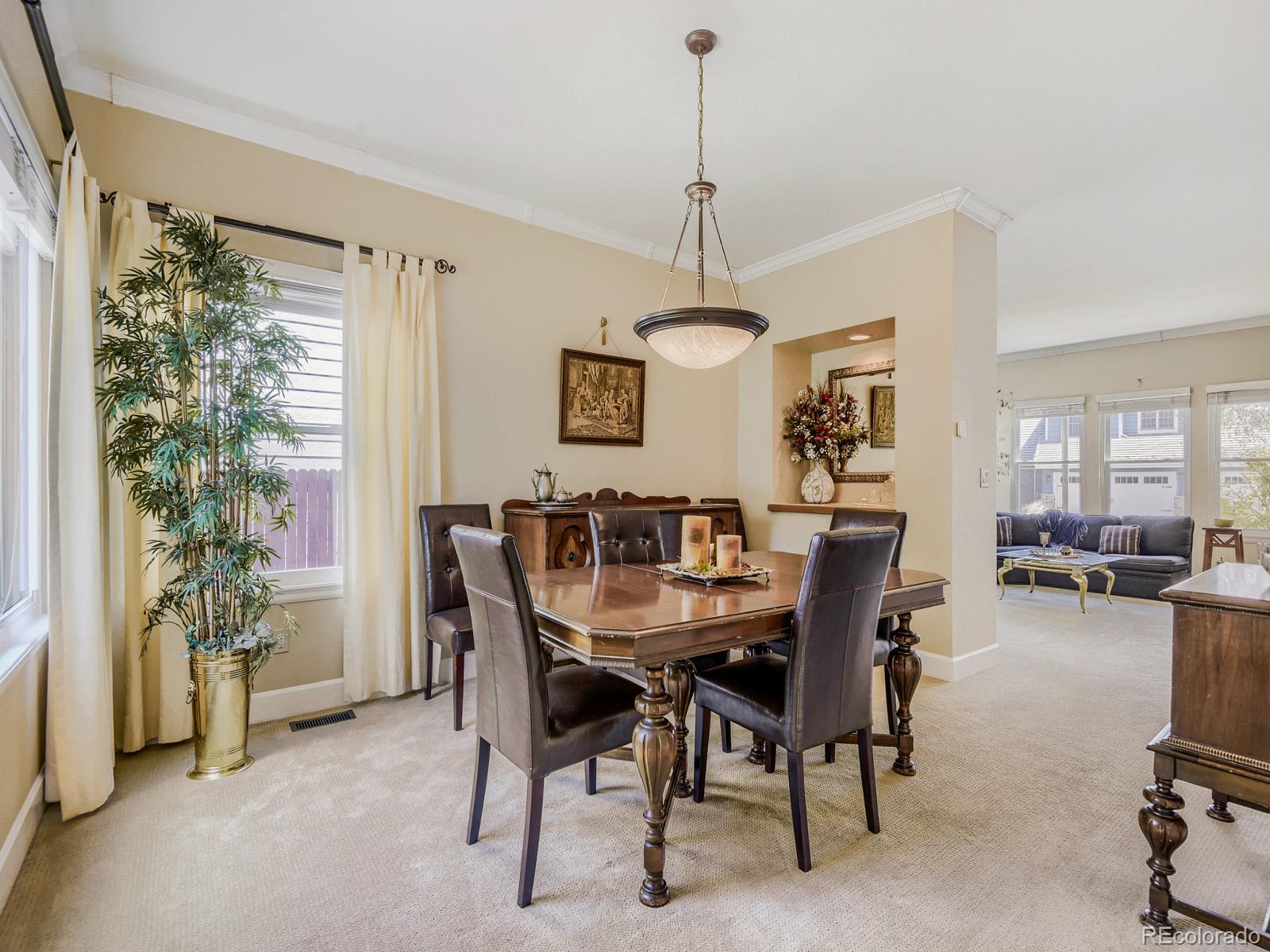 MLS Image #11 for 10323  tracery court,parker, Colorado