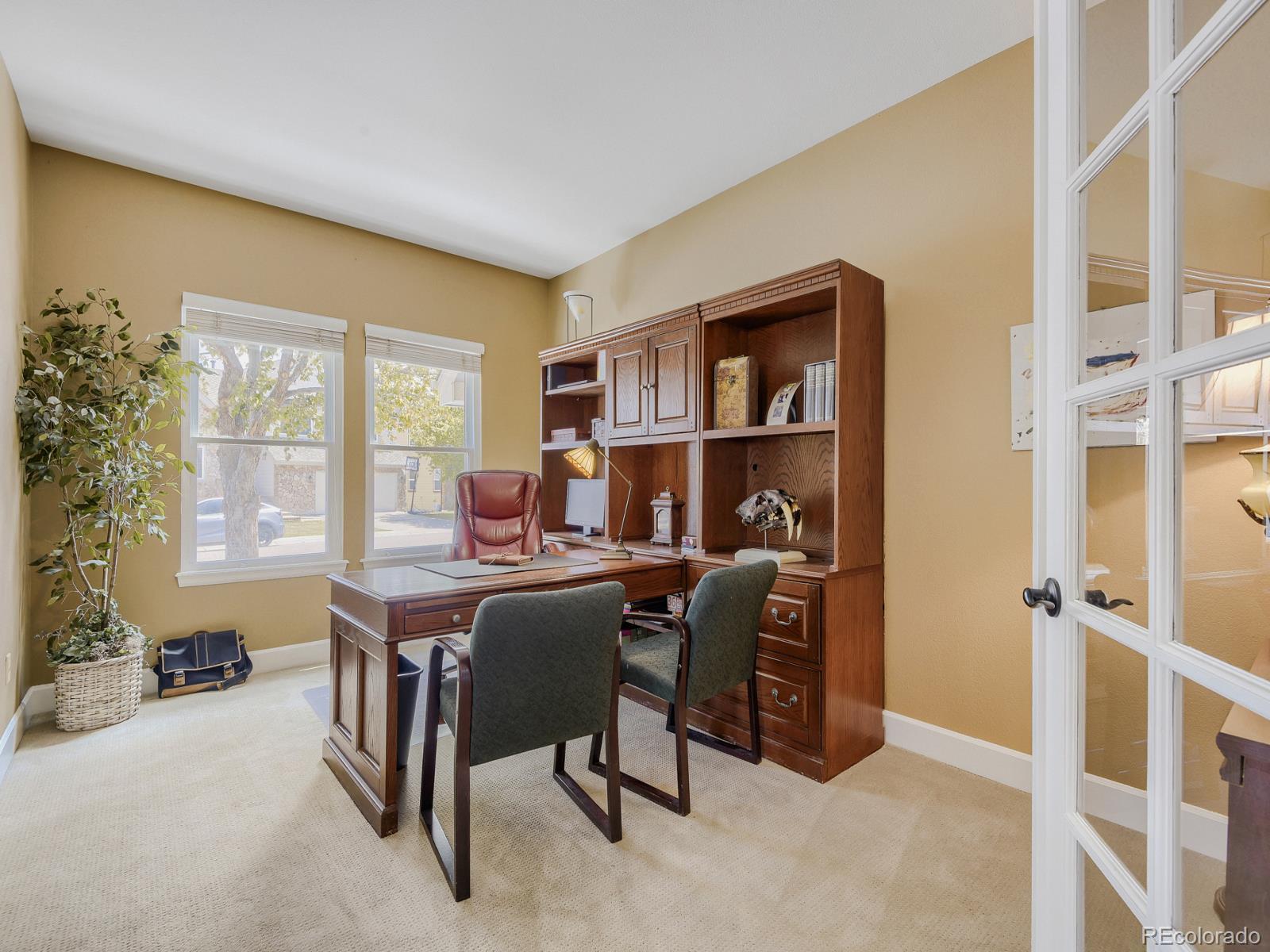 MLS Image #12 for 10323  tracery court,parker, Colorado
