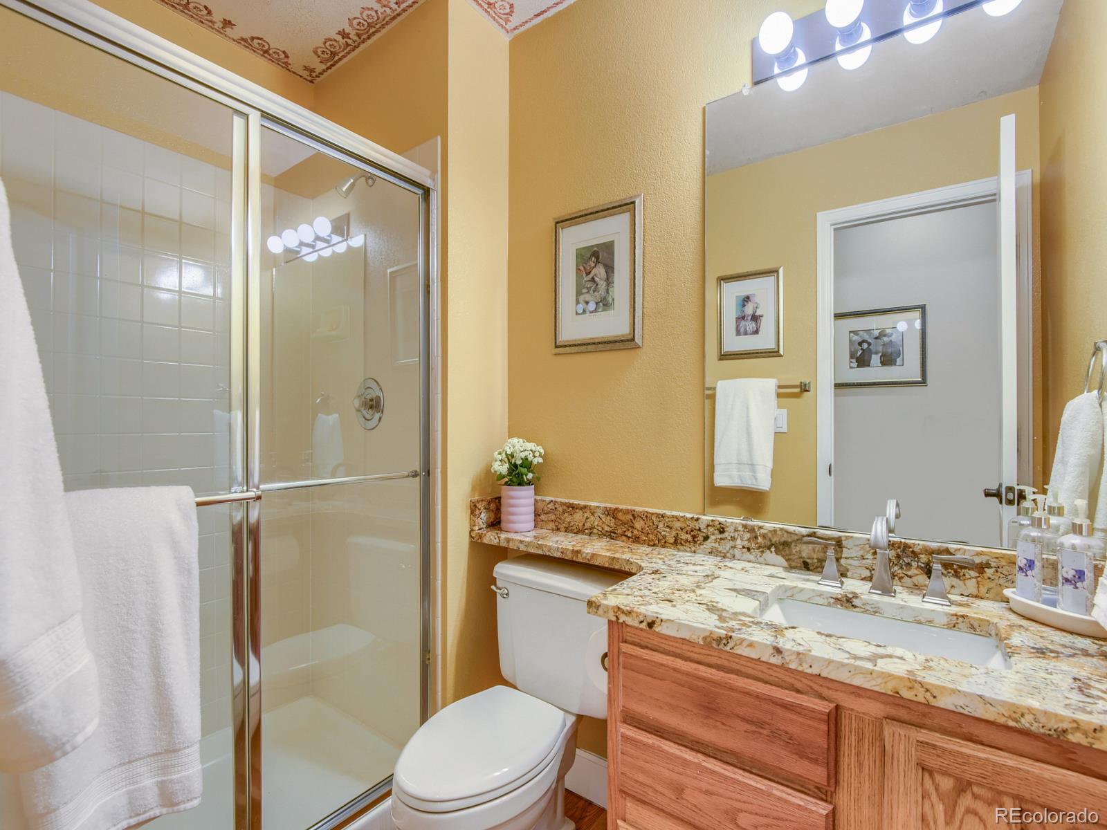 MLS Image #13 for 10323  tracery court,parker, Colorado