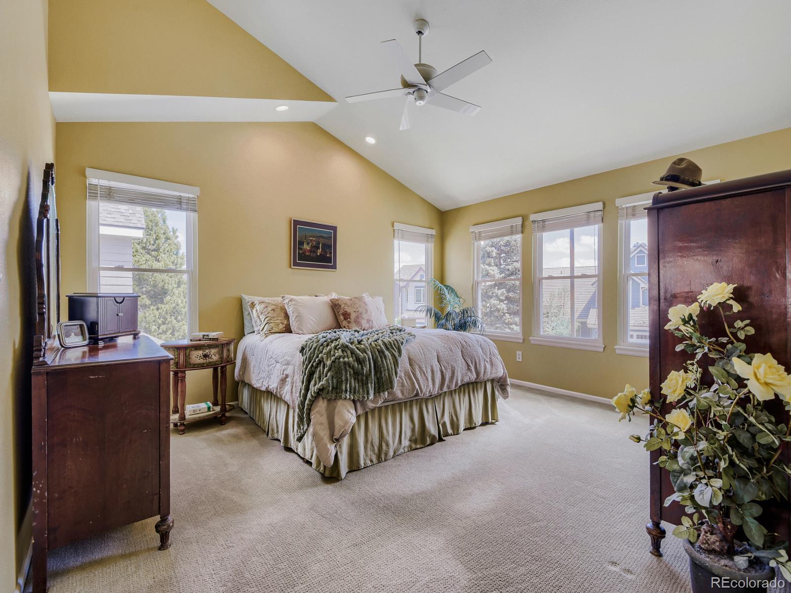 MLS Image #14 for 10323  tracery court,parker, Colorado