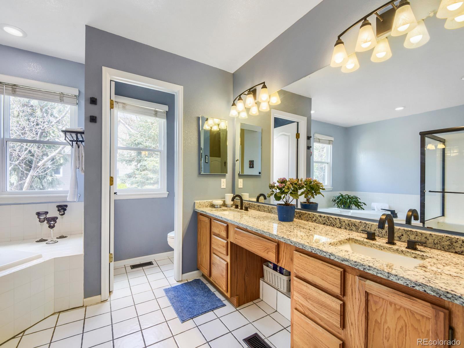 MLS Image #16 for 10323  tracery court,parker, Colorado