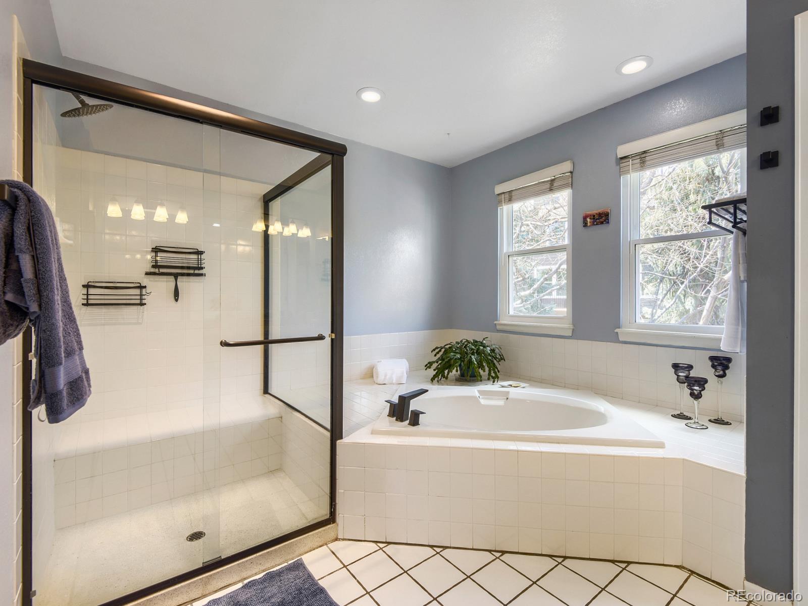 MLS Image #17 for 10323  tracery court,parker, Colorado