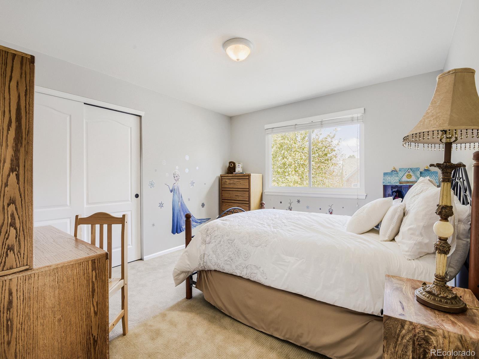 MLS Image #18 for 10323  tracery court,parker, Colorado