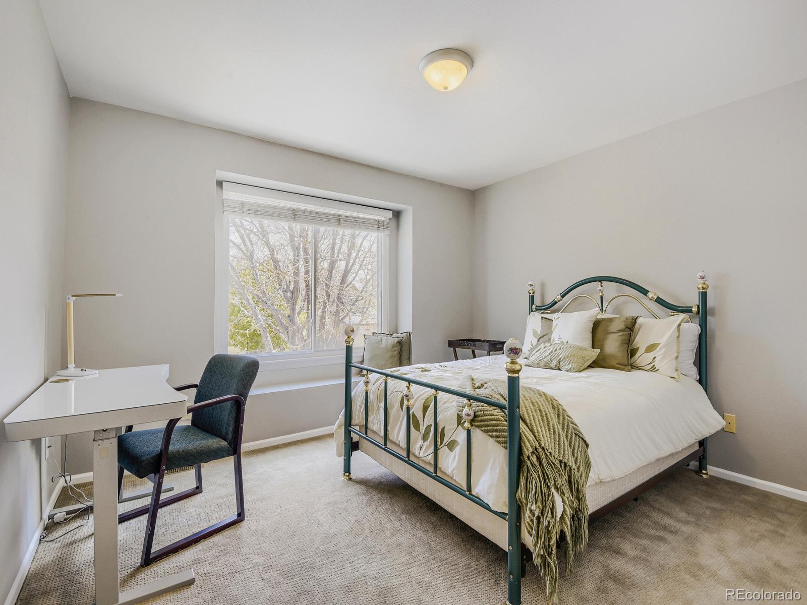 MLS Image #19 for 10323  tracery court,parker, Colorado