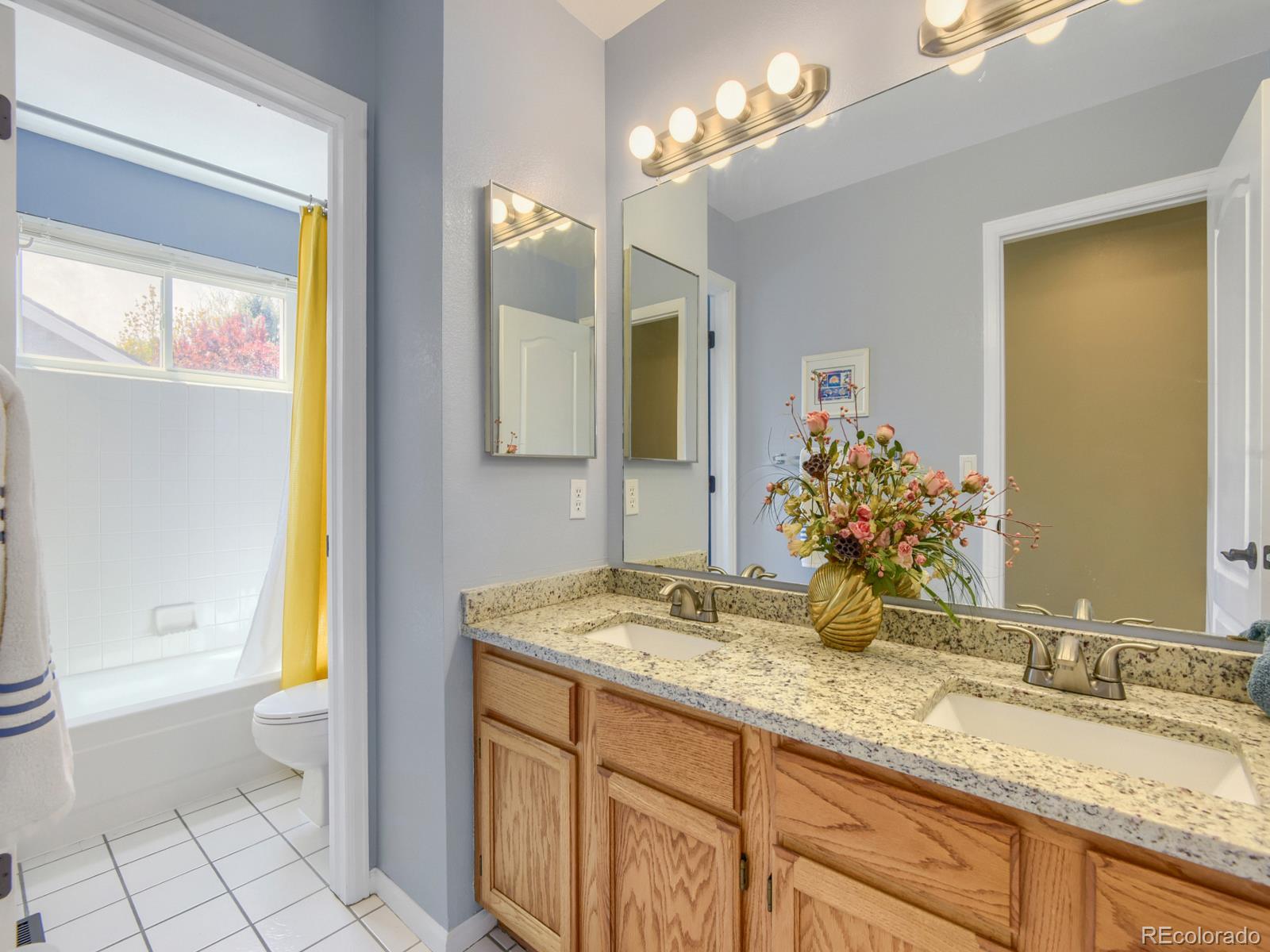 MLS Image #21 for 10323  tracery court,parker, Colorado