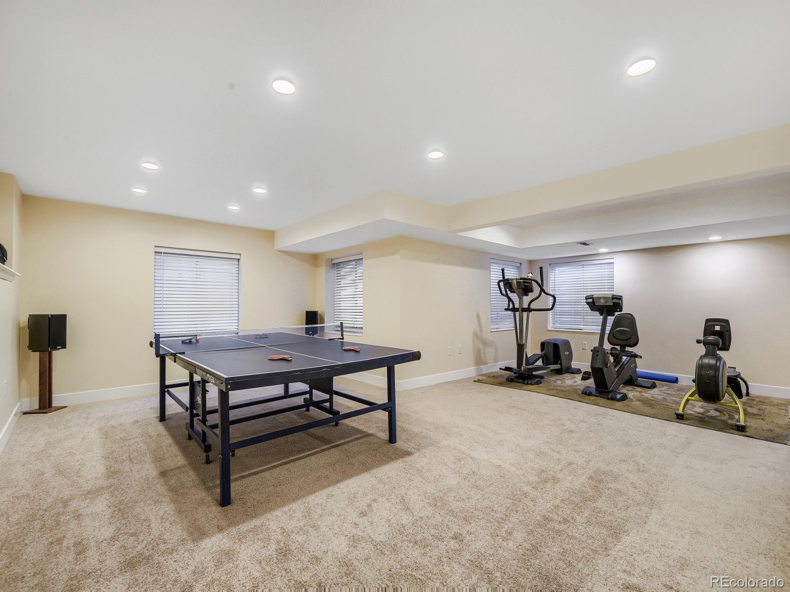 MLS Image #22 for 10323  tracery court,parker, Colorado