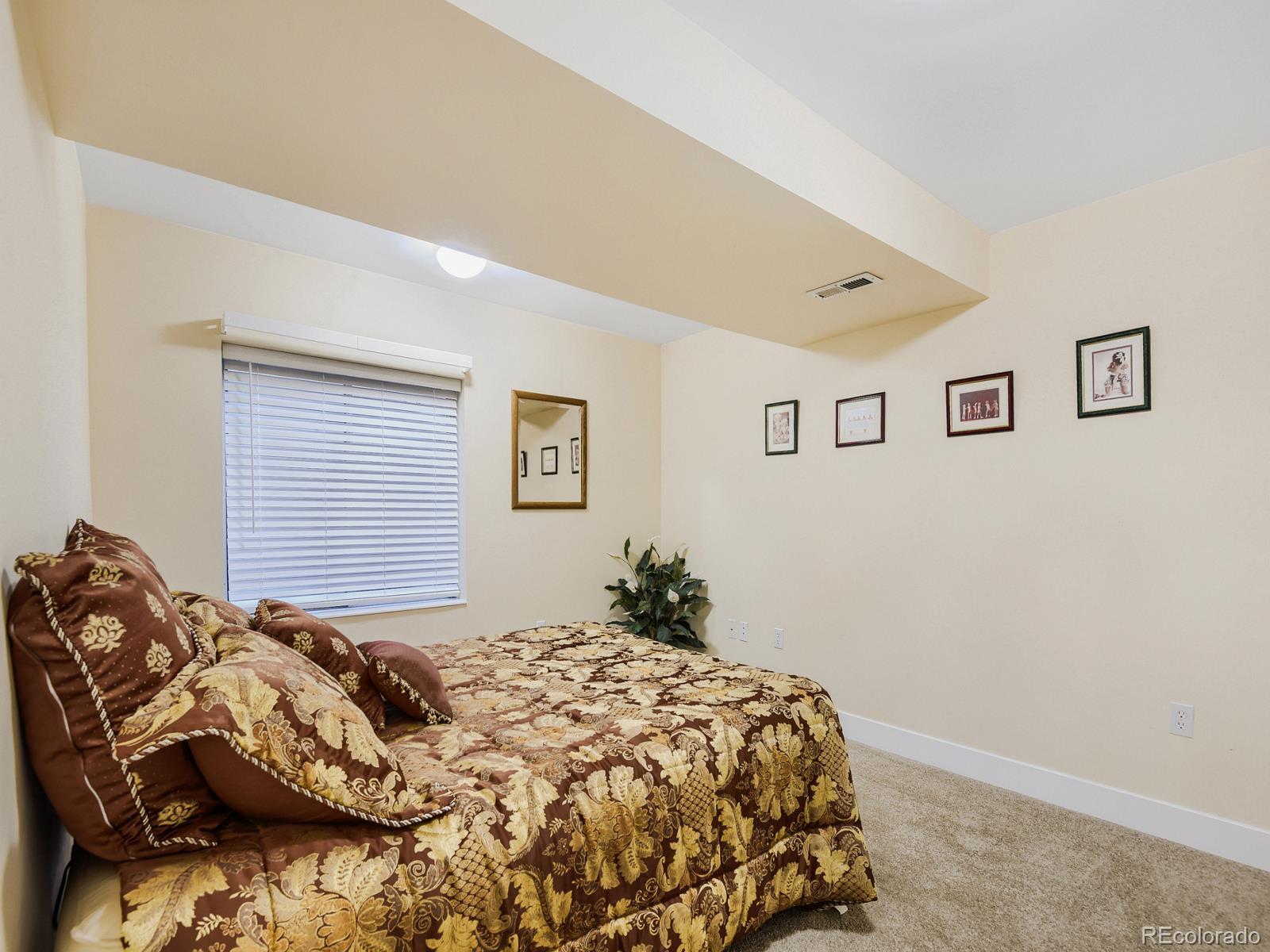 MLS Image #23 for 10323  tracery court,parker, Colorado