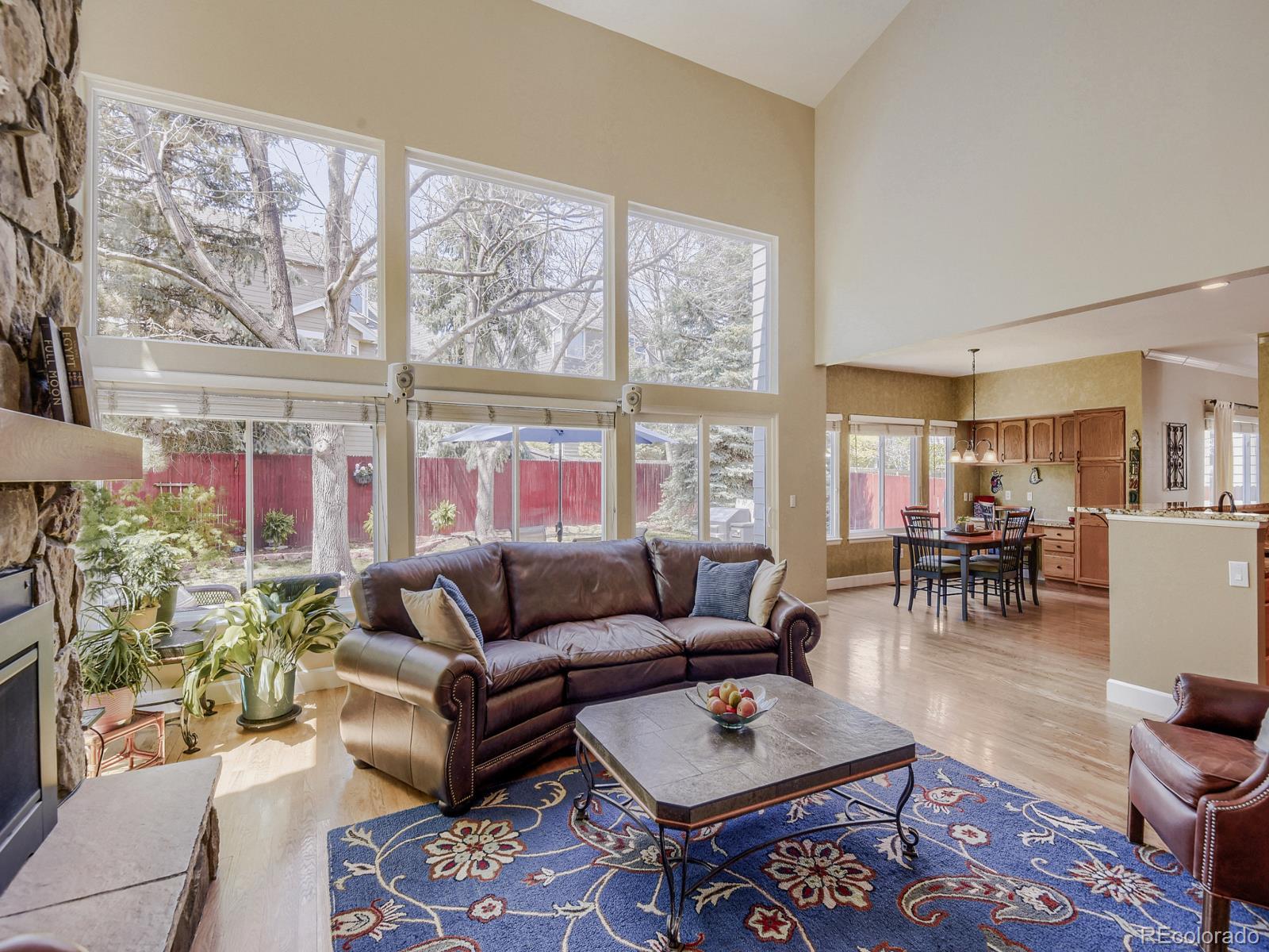 MLS Image #7 for 10323  tracery court,parker, Colorado