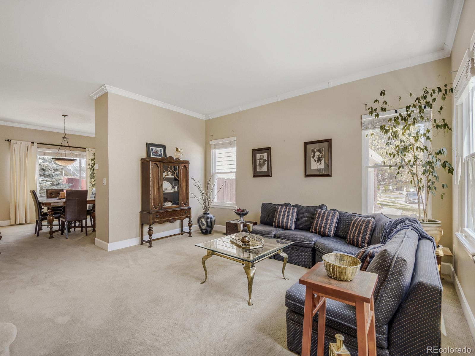 MLS Image #8 for 10323  tracery court,parker, Colorado
