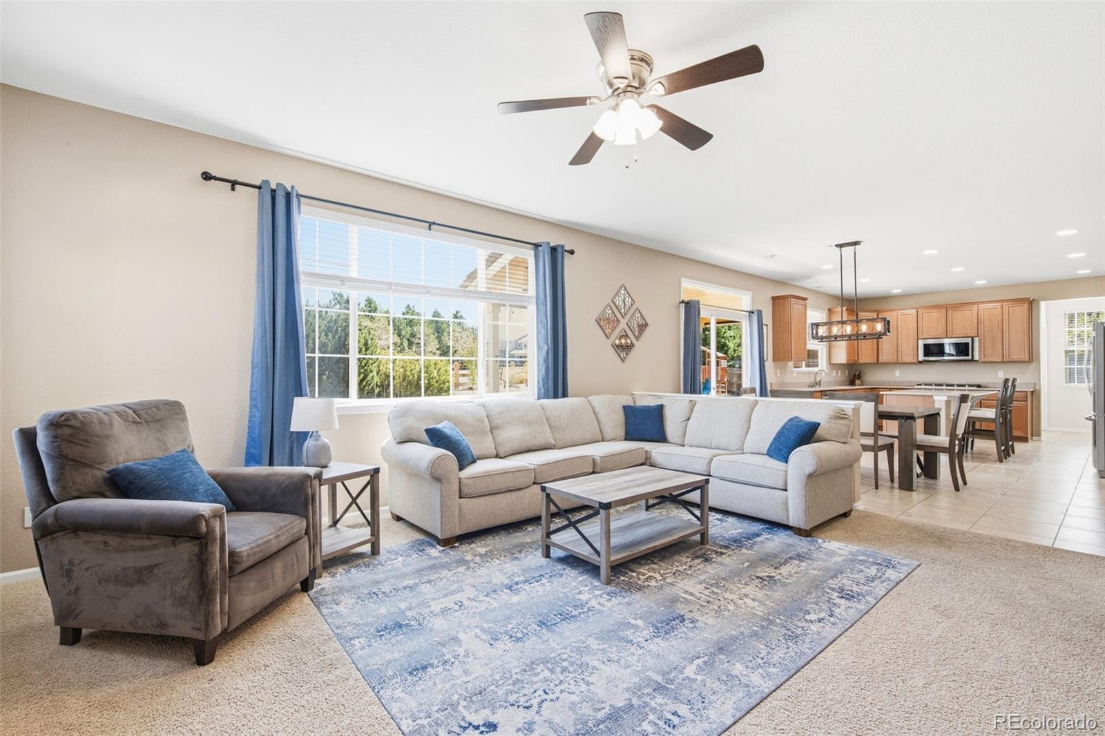 MLS Image #9 for 6372 s jackson gap court,aurora, Colorado