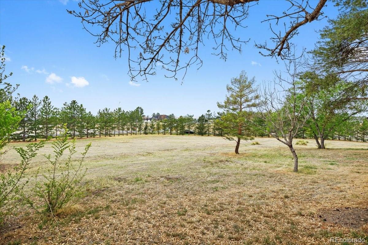 MLS Image #35 for 6471 e lookout drive,parker, Colorado
