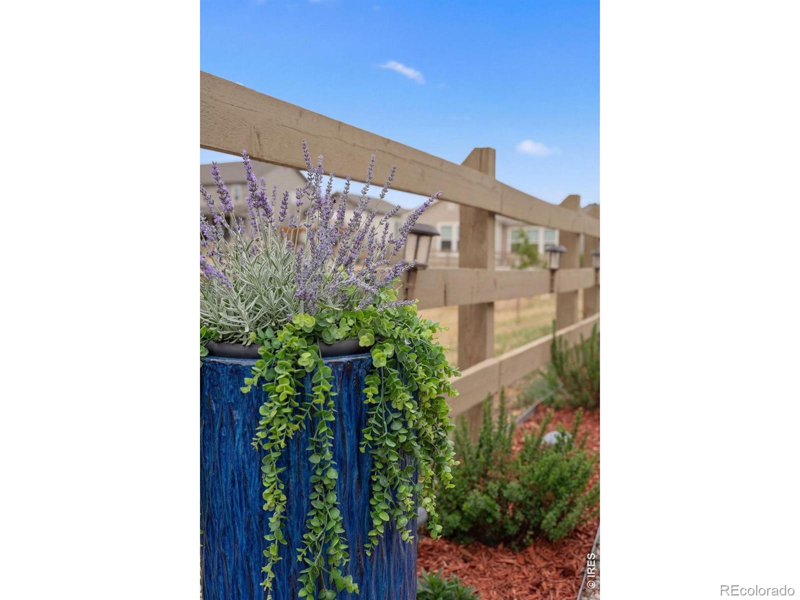 MLS Image #44 for 173  lake park drive,loveland, Colorado