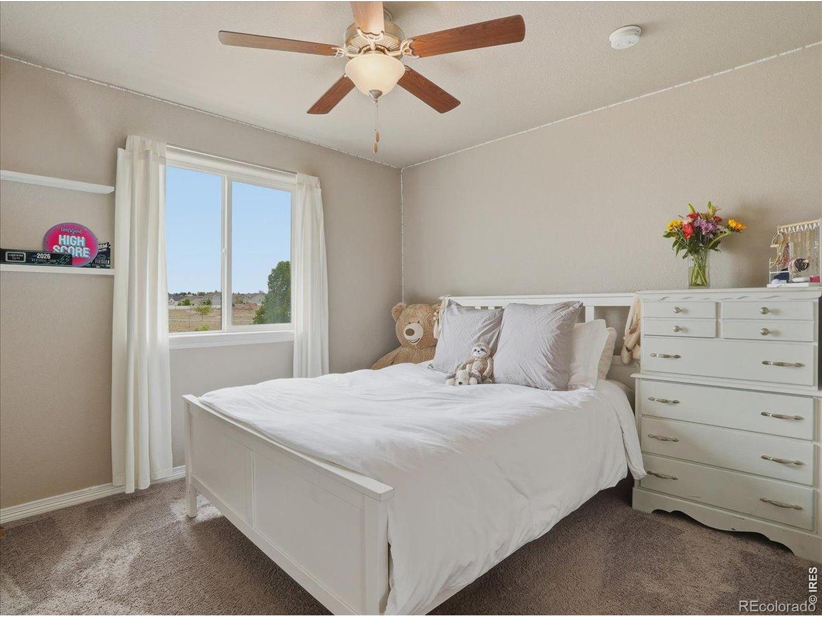 MLS Image #25 for 1766  ruddlesway drive,windsor, Colorado