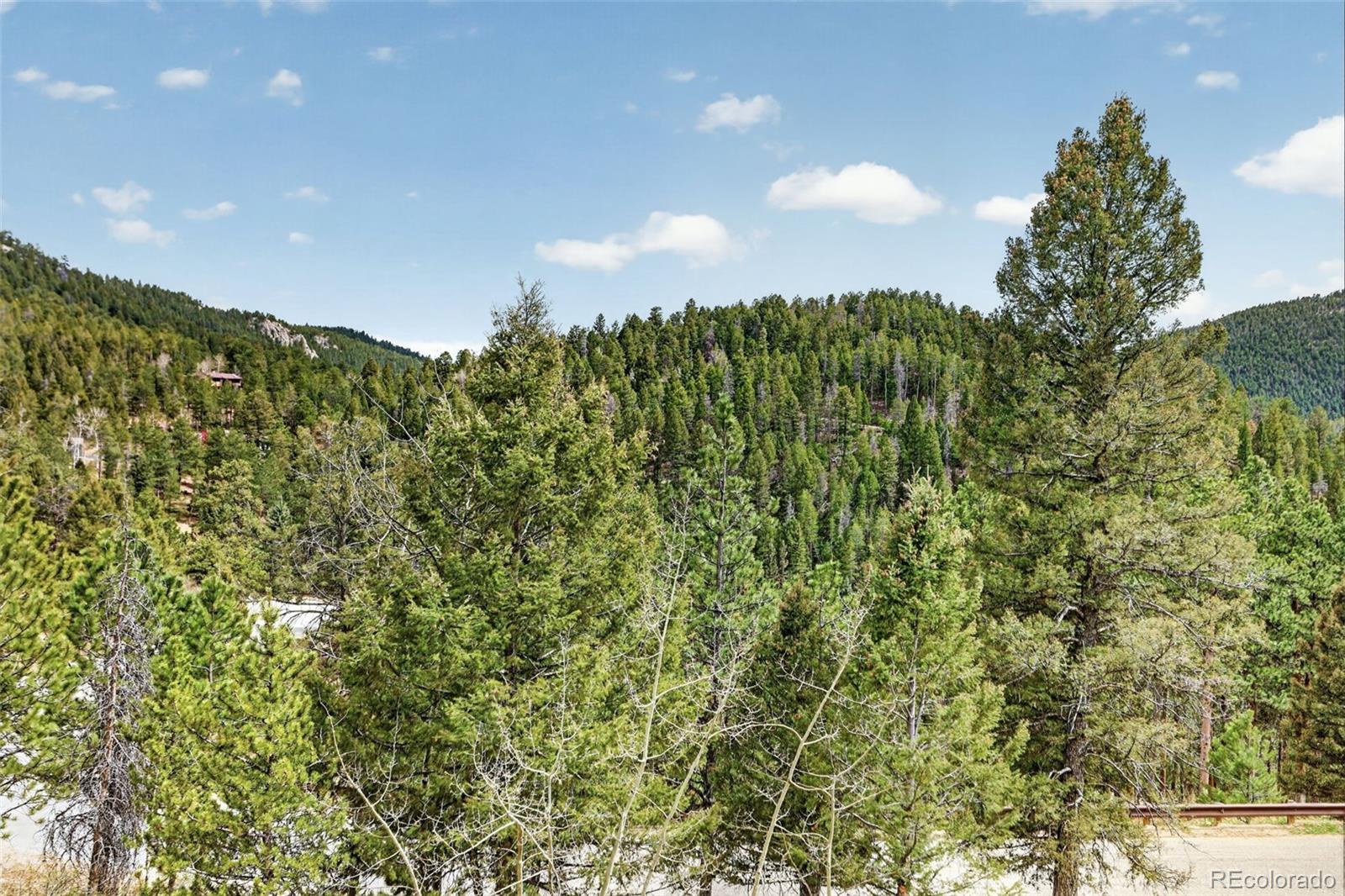 MLS Image #38 for 12098  broken arrow drive,conifer, Colorado