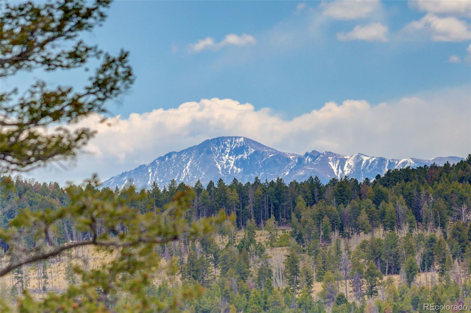 MLS Image #16 for 11049  schweigert avenue,conifer, Colorado