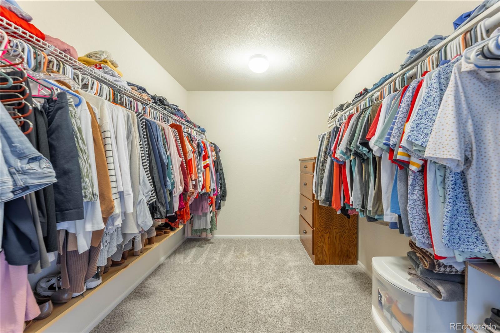 MLS Image #19 for 1368  castle creek circle,castle rock, Colorado