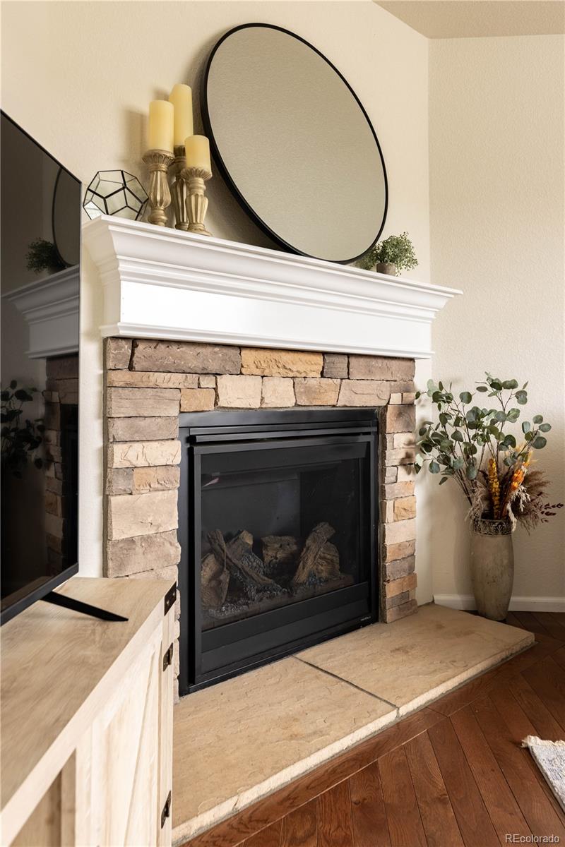 MLS Image #5 for 1368  castle creek circle,castle rock, Colorado