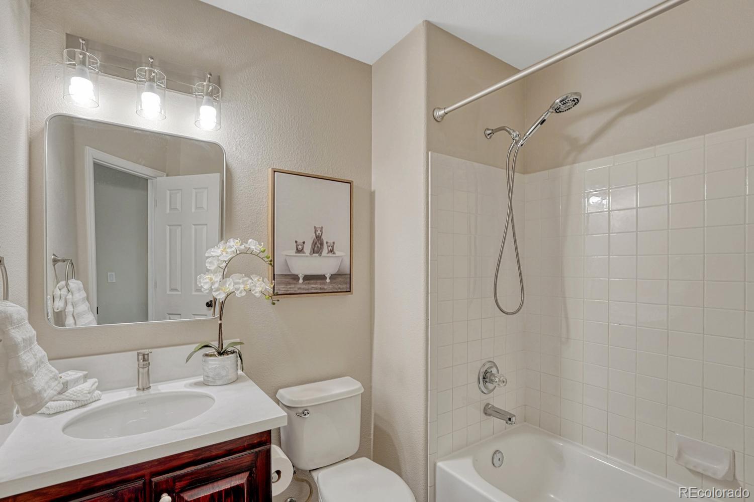 MLS Image #18 for 1059  riddlewood lane,highlands ranch, Colorado